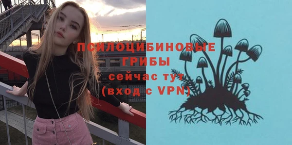 винт Арсеньев