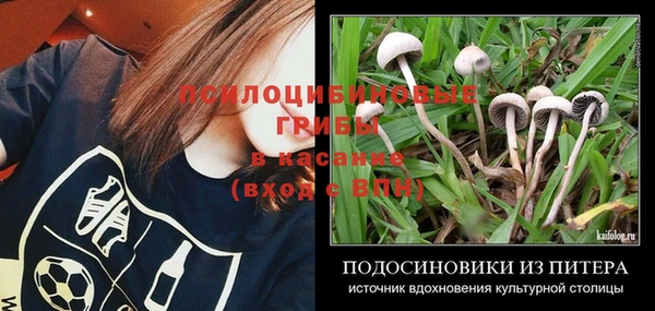 винт Армянск