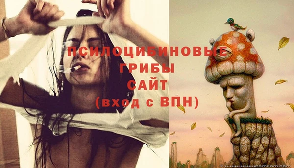 винт Армянск