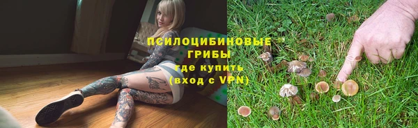 винт Армянск