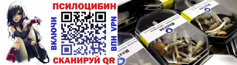 гидра как зайти  Белоярский  Псилоцибиновые грибы Cubensis 